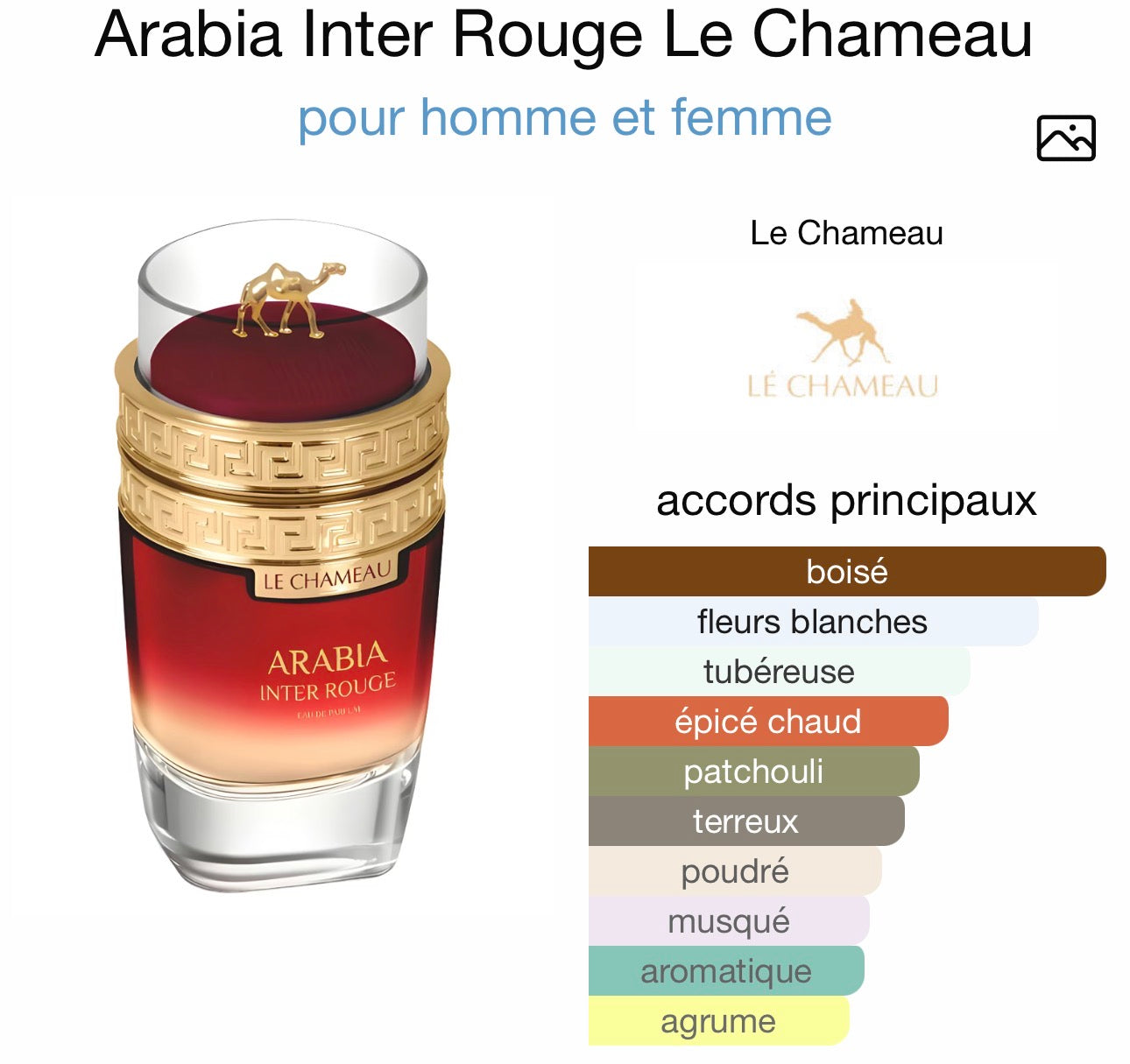 Arabia Inter Rouge – Le Chameau