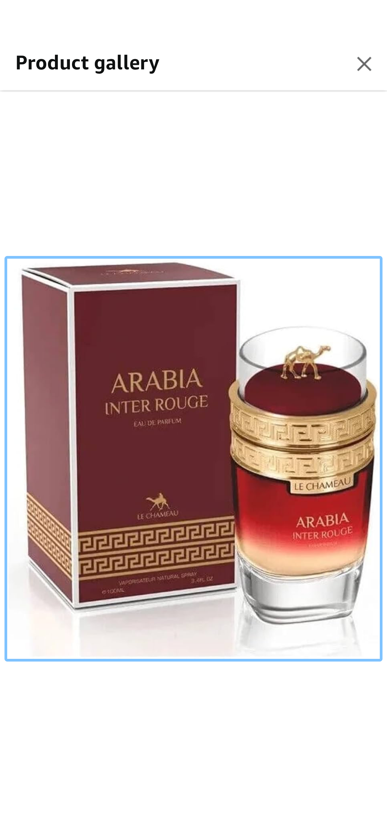 Arabia Inter Rouge – Le Chameau