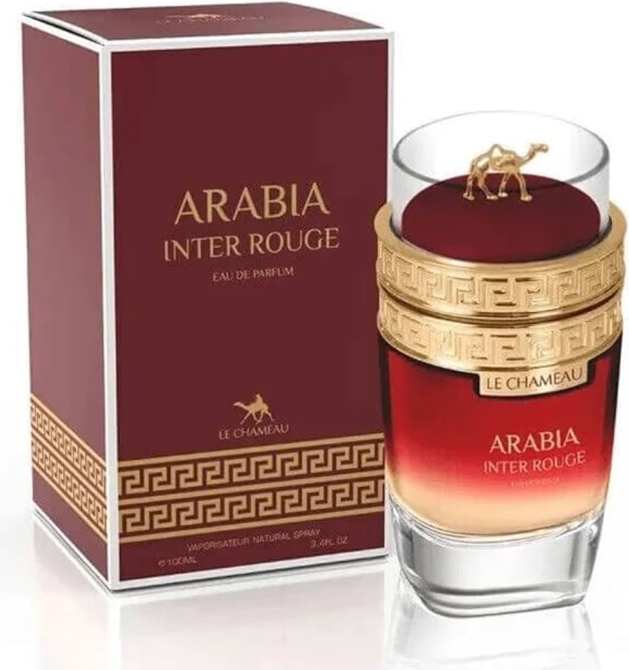 Arabia Inter Rouge – Le Chameau